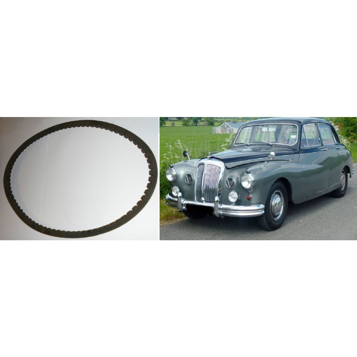 POWER STEERING PAS BELT (Daimler Majestic Major) (4.5 Litre) (1960- 68) 